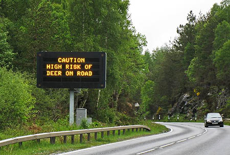 Signs on main roads will warn of the risk of deer collisions. Photo: SNH Signs on main roads will warn of the risk of deer collisions. Photo: SNH