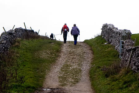 Walkers are asked to keep dogs on a lead if on access land Walkers are asked to keep dogs on a lead if on access land