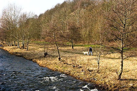 Responsible dog walkers will follow the Scottish Outdoor Access Code. Photo: Walter Baxter CC-BY-SA-2.0