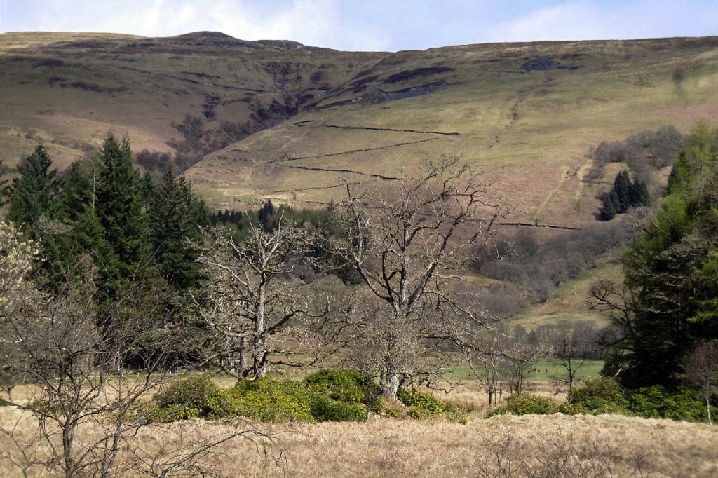 The hills above Drumlean Estate near Aberfoyle. Photo: Richard Webb CC-BY-SA-2.0