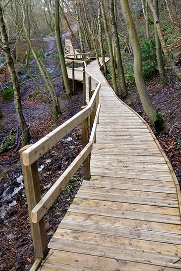 The completed boardwalk The completed boardwalk