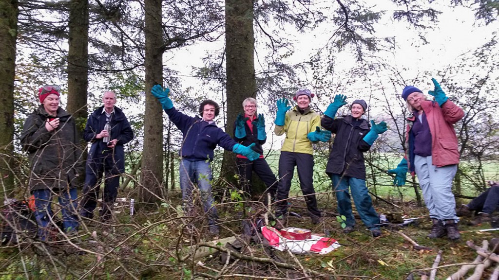 A group lays a hedge during the fell care day A group lays a hedge during the fell care day