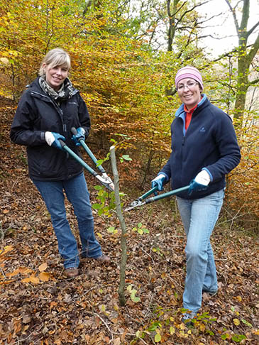 Volunteers on a previous fell care day Volunteers on a previous fell care day