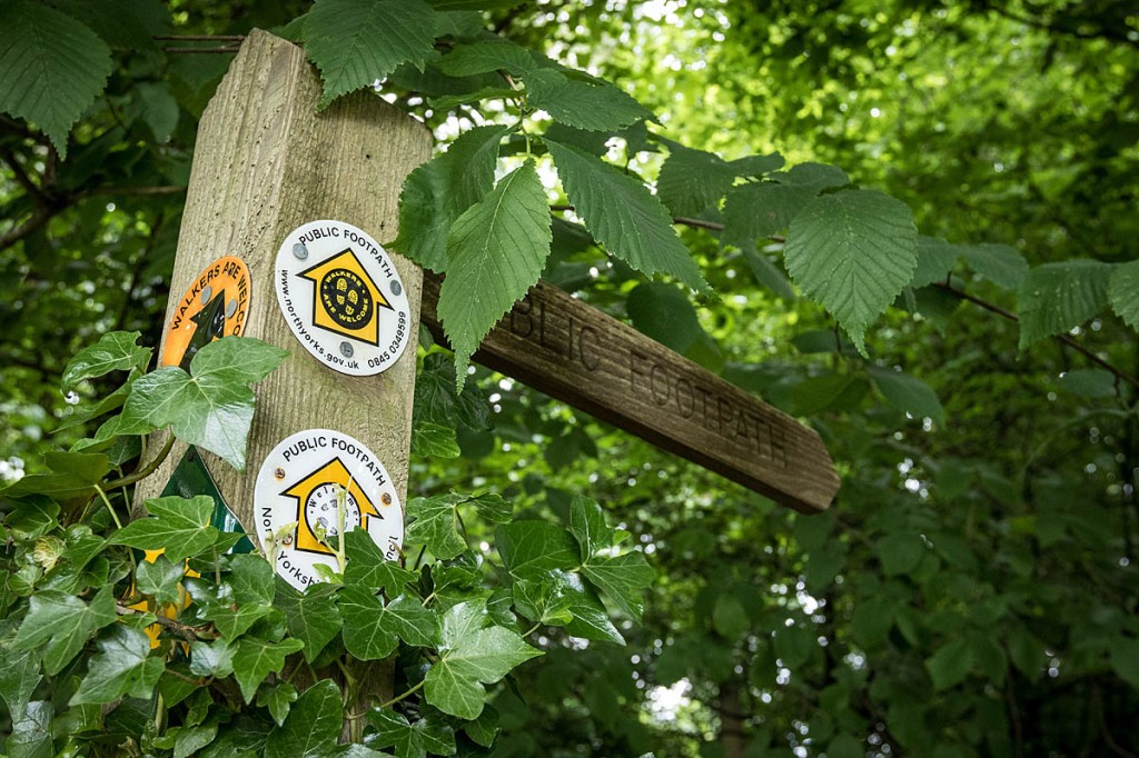 A footpath in North Yorkshire. Photo: Bob Smith/grough A footpath in North Yorkshire. Photo: Bob Smith/grough