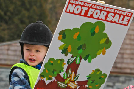 Government plans to sell off England's public forests and woods prompted widespread protests