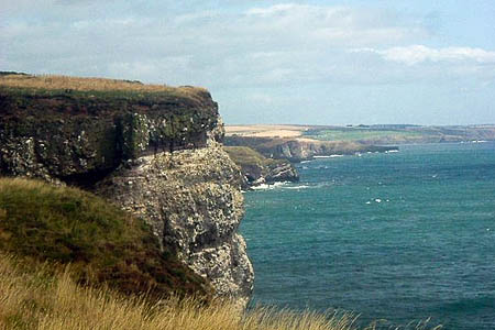 The body was found at Fowlsheugh. Photo: Stanley Howe CC-BY-SA-2.0 The body was found at Fowlsheugh. Photo: Stanley Howe CC-BY-SA-2.0