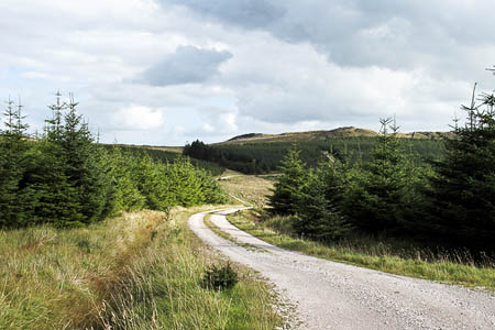 Gisburn Forest. Photo: Tom Richardson CC-BY-SA-2.0 Gisburn Forest. Photo: Tom Richardson CC-BY-SA-2.0