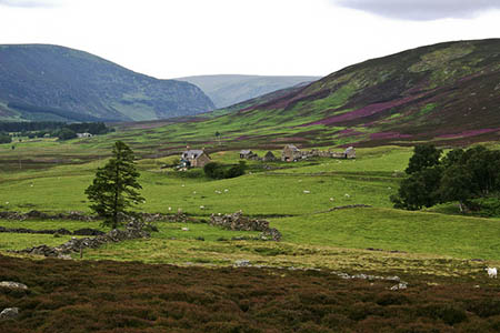 Glen Esk, scene of the search. Photo: Ian Cleland CC-BY-SA-2.0