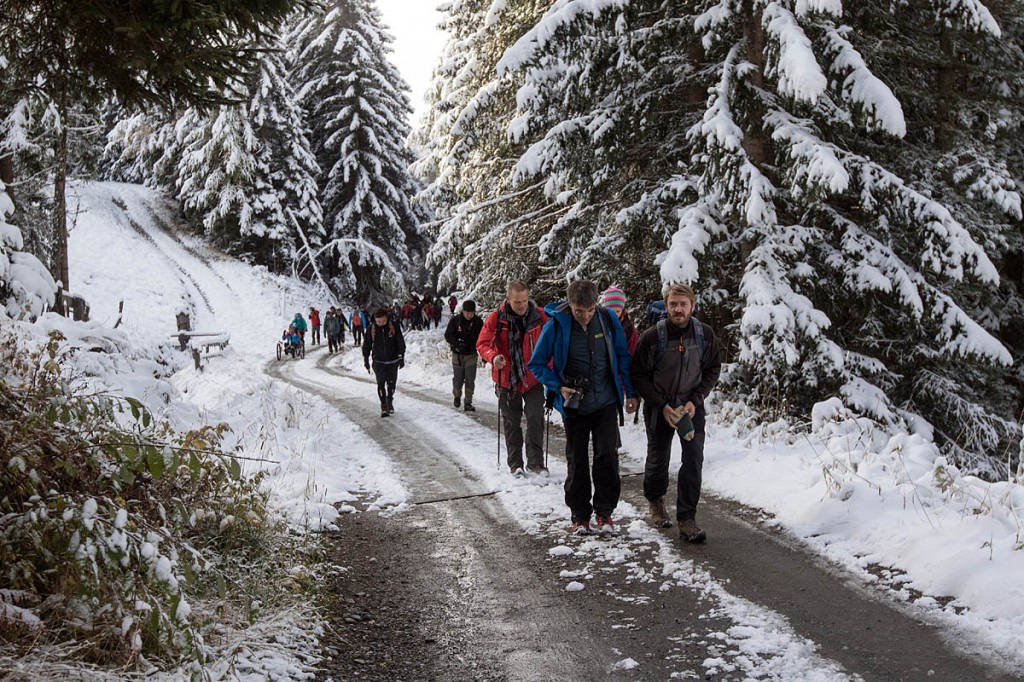 The walk passed through forests before opening out on to the mountain