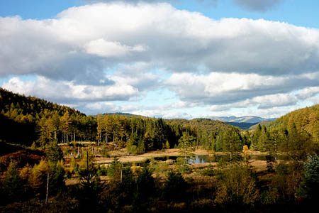 Grizedale Forest. Photo: Karl and Ali CC-BY-SA-2.0 Grizedale Forest. Photo: Karl and Ali CC-BY-SA-2.0