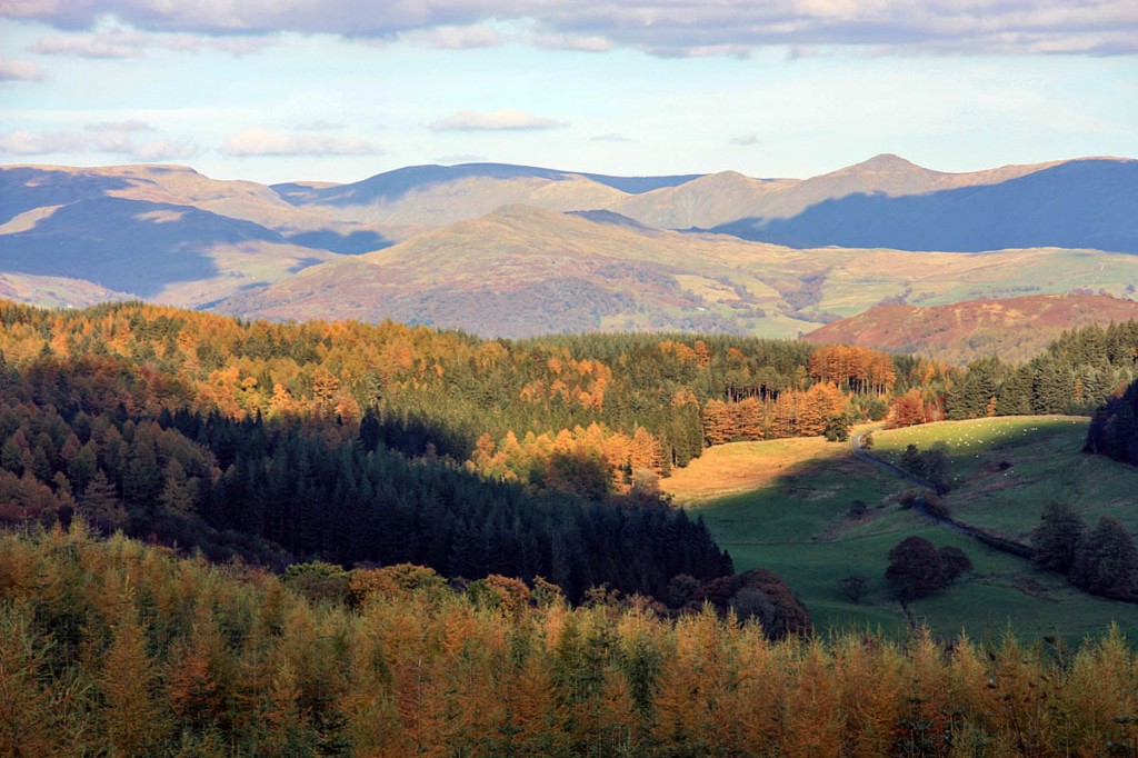 The woman was airlifted from Grizedale Forest. Photo: James Burke CC-BY-2.0