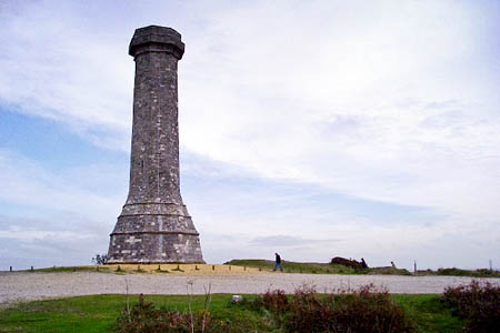 Blackdown Woods surround the Hardy Monument. Photo: Bob Tinley CC-BY-SA-2.0 Blackdown Woods surround the Hardy Monument. Photo: Bob Tinley CC-BY-SA-2.0