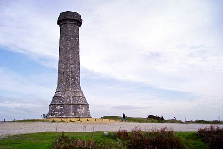Blackdown Woods surround the Hardy Monument. Photo: Bob Tinley CC-BY-SA-2.0