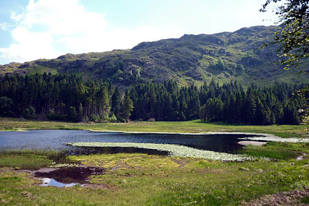 Harrop Tarn, scene of the incident. Photo: Karl and Ali CC-BY-SA-2,0
