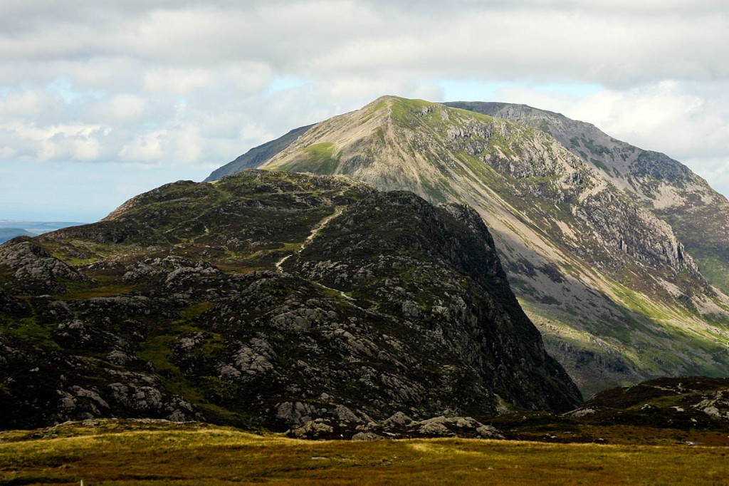 The dog was reported to be stuck on Hay Stacks The dog was reported to be stuck on Hay Stacks