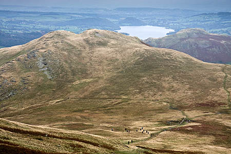 The walker was stung by a wasp on High Dodd