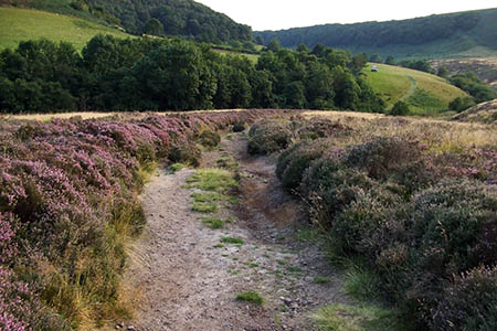 The path had become eroded before its restoration The path had become eroded before its restoration