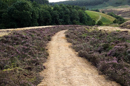 The newly restored path The newly restored path
