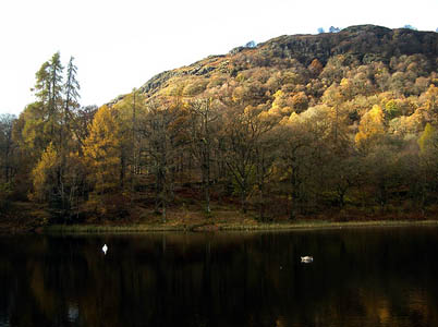 Holme Fell and Yew Tree Tarn. Photo: Andy Stephenson CC-BY-SA-2.0