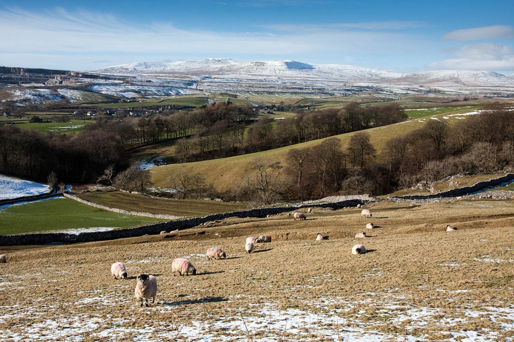 The Yorkshire Dales authority confirmed it was also selling properties