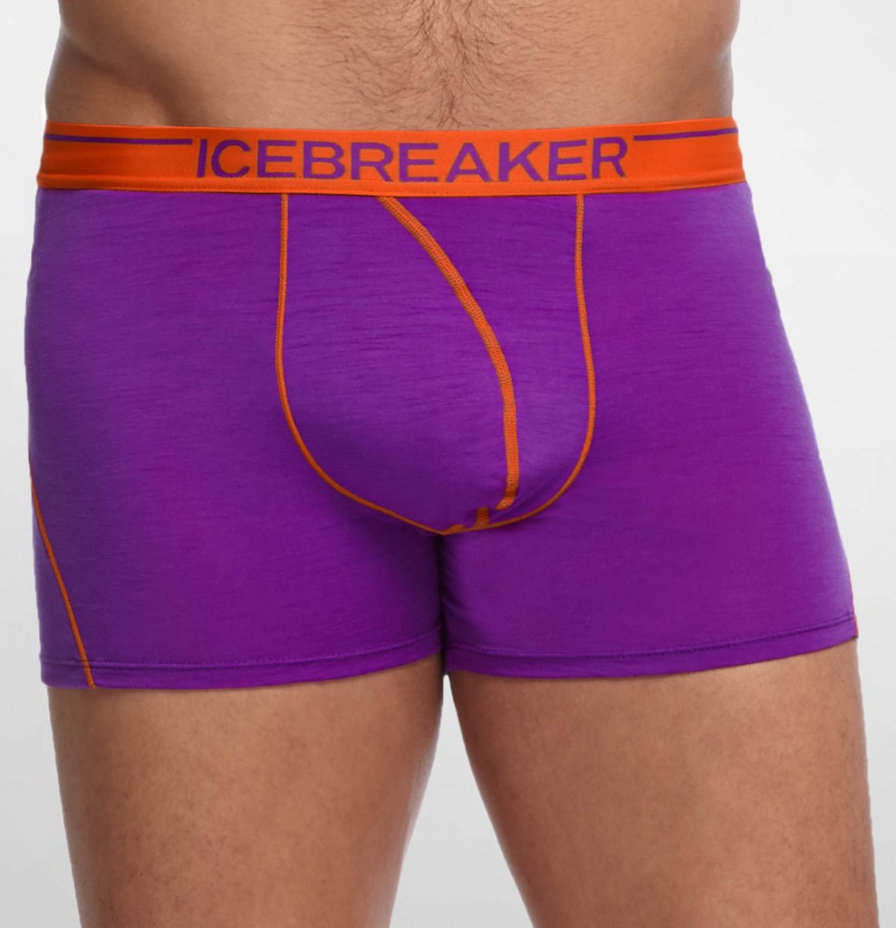 Icebreaker Anatomica Boxers Icebreaker Anatomica Shorts