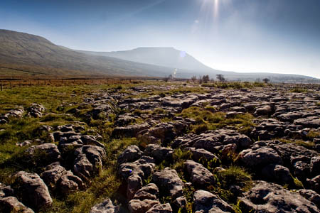 The group of 17 was found above Great Douk Cave, north of Ingleborough's summit The group of 17 was found above Great Douk Cave, north of Ingleborough's summit