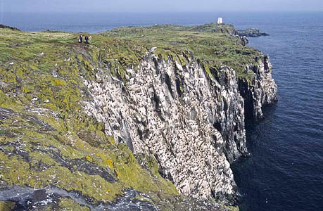 The Isle of May in the Firth of Forth. Photo: Scottish Natural Heritage The Isle of May in the Firth of Forth