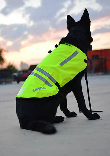 Keela High Visibility Dog Coat Keela High Visibility Dog Coat