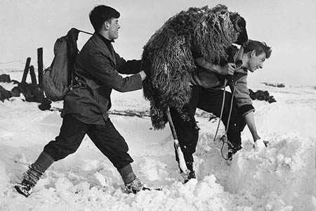 Ken Drabble, right, in action rescuing a sheep from the snow in the 1960s Ken Drabble, right, in action rescuing a sheep from the snow in the 1960s