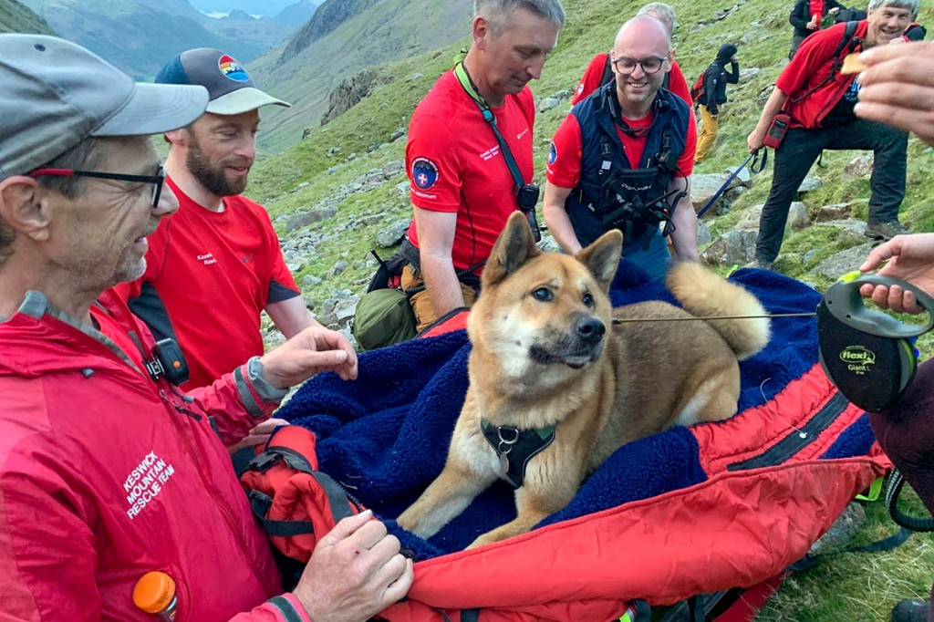 Rescuers placed the dog in a casualty bag. Photo: Keswick MRT