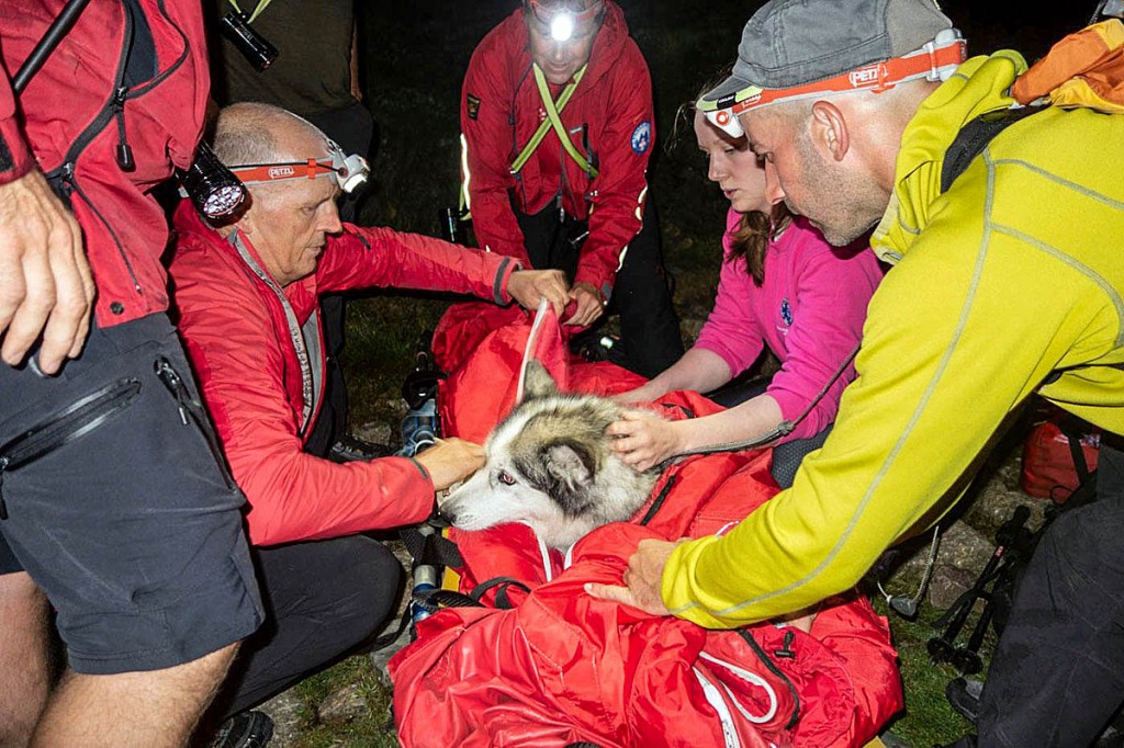 The husky was packed in the team's casualty bag for the stretcher journey to Seathwaite. Photo: Keswick MRT
