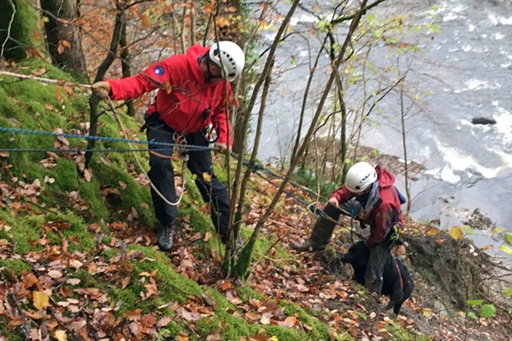 Rescuers retrieve the dog from its precarious position. Photo: Keswick MRT Rescuers retrieve the dog from its precarious position. Photo: Keswick MRT