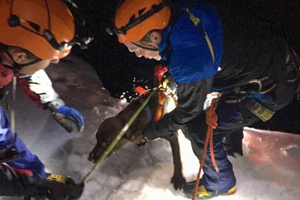 The dog is brought to safety by rescuers. Photo: Keswick MRT The dog is brought to safety by rescuers. Photo: Keswick MRT