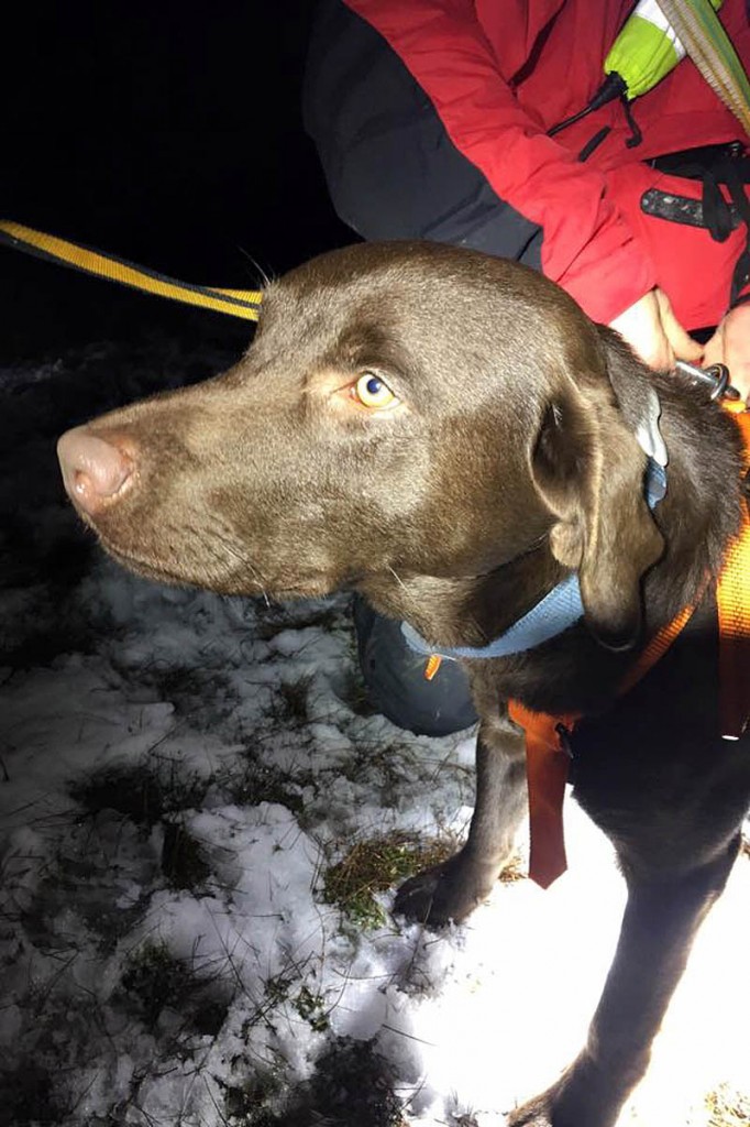 Paddy ran on to steep ground on Lonscale Fell. Photo: Keswick MRT Paddy ran on to steep ground on Lonscale Fell. Photo: Keswick MRT