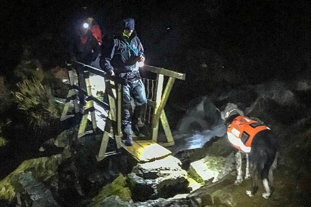 Search dog Rona joined the rescue of the trio from near Esk Hause. Photo: Keswick MRT