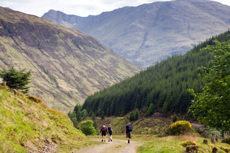'No plans' to sell off the Scottish forest estate 'No plans' to sell off the Scottish forest estate