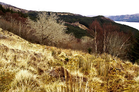 The walkers got lost betwen Kinloch and Kylerhea. Photo: Paul Taylor CC-BY-SA-2.0 The walkers got lost betwen Kinloch and Kylerhea. Photo: Paul Taylor CC-BY-SA-2.0