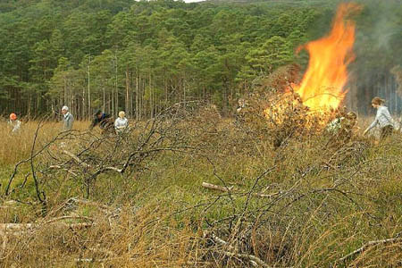 Jamie Green's photo of brush burning