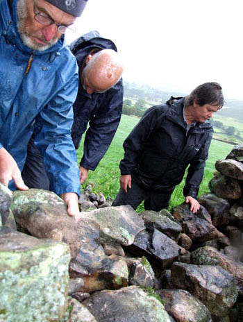 Mike Turner's picture of drystone wallers