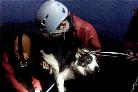 Chip is brought to the surface after getting stuck down the crevice. Photo: Llanberis MRT Chip is brought to the surface after getting stuck down the crevice