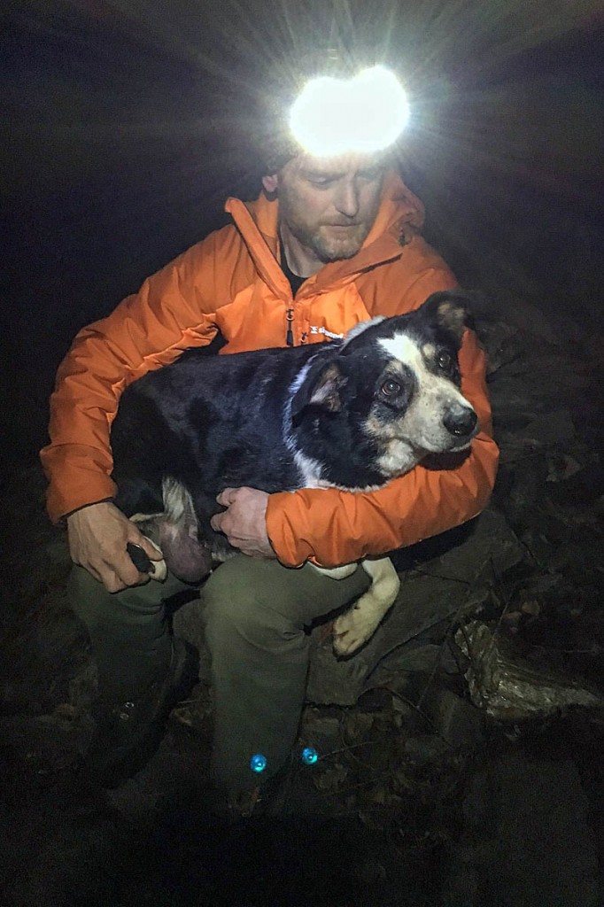 Sheepdog Nell was rescued after 12 days in the gorge. Photo: Lochaber MRT Sheepdog Nell was rescued after 12 days in the gorge. Photo: Lochaber MRT