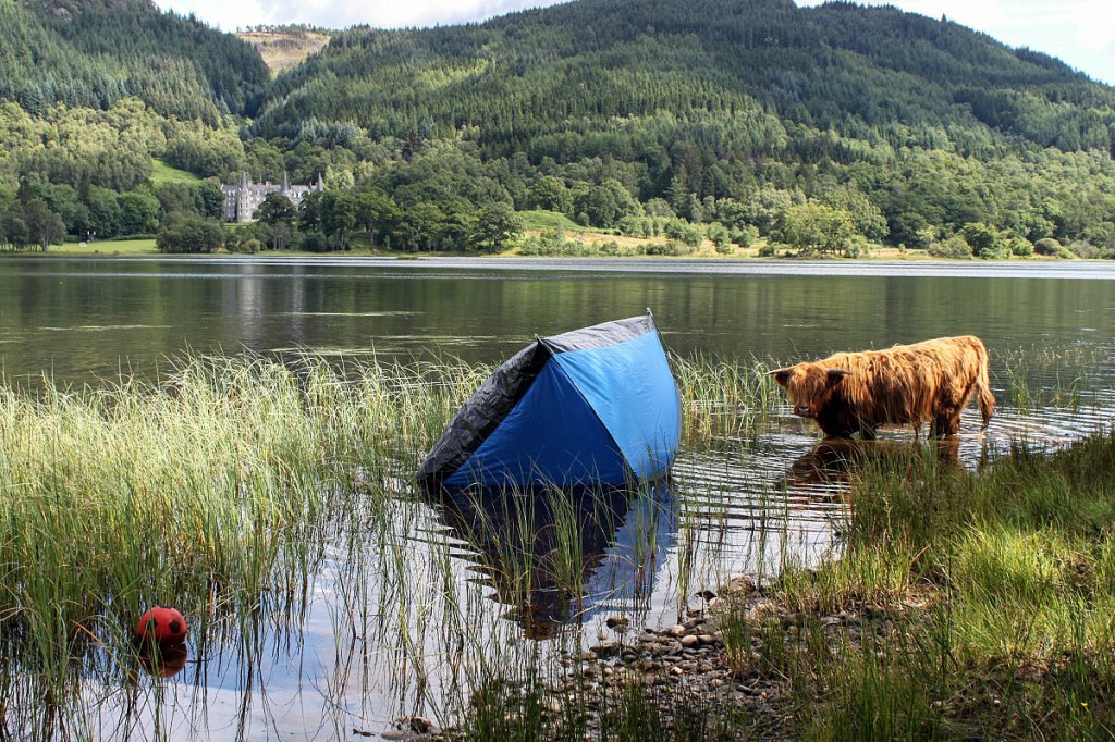 One result of irresponsible camping at Loch Achray. Photo: Loch Lomond and the Trossachs NPA One result of irresponsible camping at Loch Acray. Photo: Loch Lomond and the Trossachs NPA