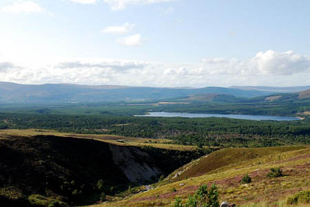 The car parks are used by walkers heading for the countryside around Loch Morlich. Photo: Mike Turner CC-BY-SA-2.0