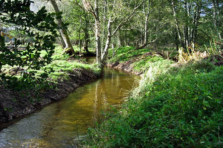The Logie Burn The Logie Burn