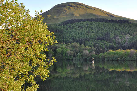 Loweswater and Holme Wood. Photo: morebyless