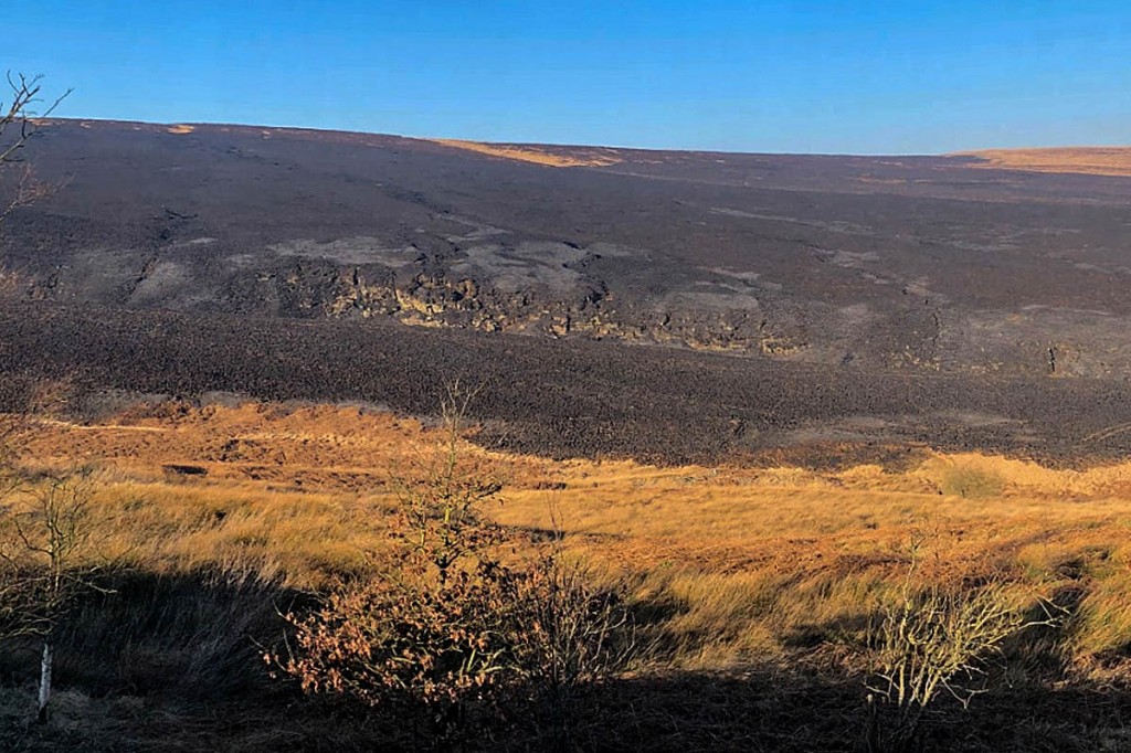 The devastated moorland after the fire had been put out. Photo: West Yorkshire Fire & Rescue Service