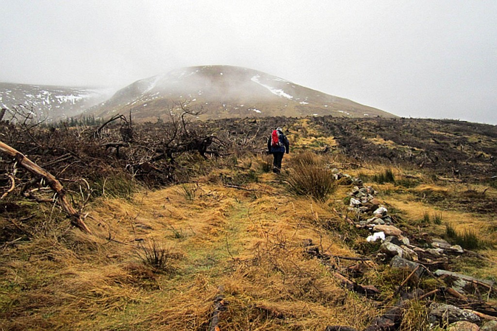 The incident happened on Meall Mòr. Photo: Richard Webb CC-BY-SA-2.0 The incident happened on Meall Mòr. Photo: Richard Webb CC-BY-SA-2.0
