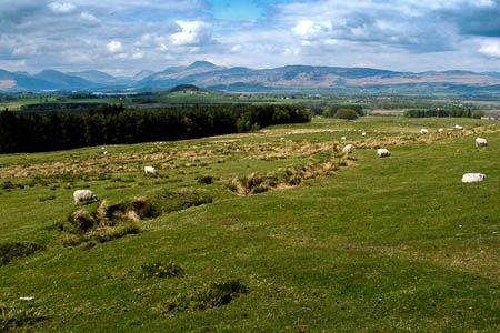 The site near Merkins Farm, south of Loch Lomond. Photo: Lairich Rig CC-BY-SA-2.0 The site near Merkins Farm, south of Loch Lomond. Photo: Lairich Rig CC-BY-SA-2.0