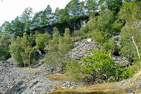 The man fell at the quarry near Moss Rigg Wood. Photo: Mick Garratt CC-BY-SA-2.0