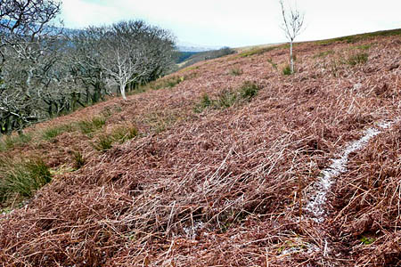 Mynydd James. Photo: Graham Horn CC-BY-SA-2.0